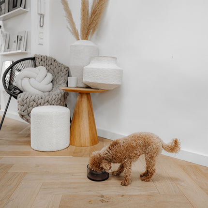 DAWN - Glazen voerbak voor honden