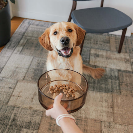 DAWN - Glazen voerbak voor honden