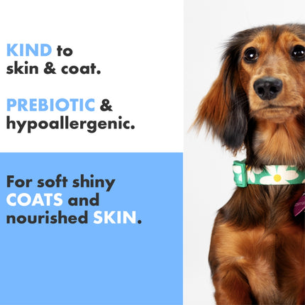 Curly Coat Conditioning Shampoo