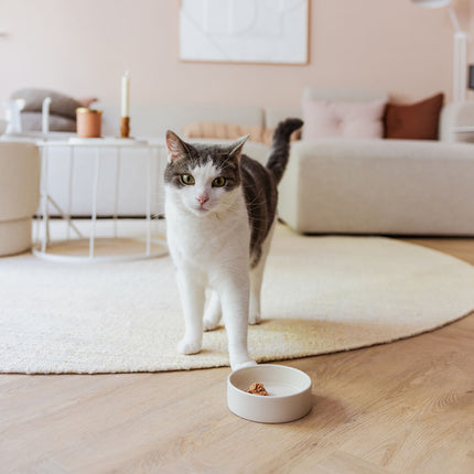 DUSK - Keramische kattenvoerbak