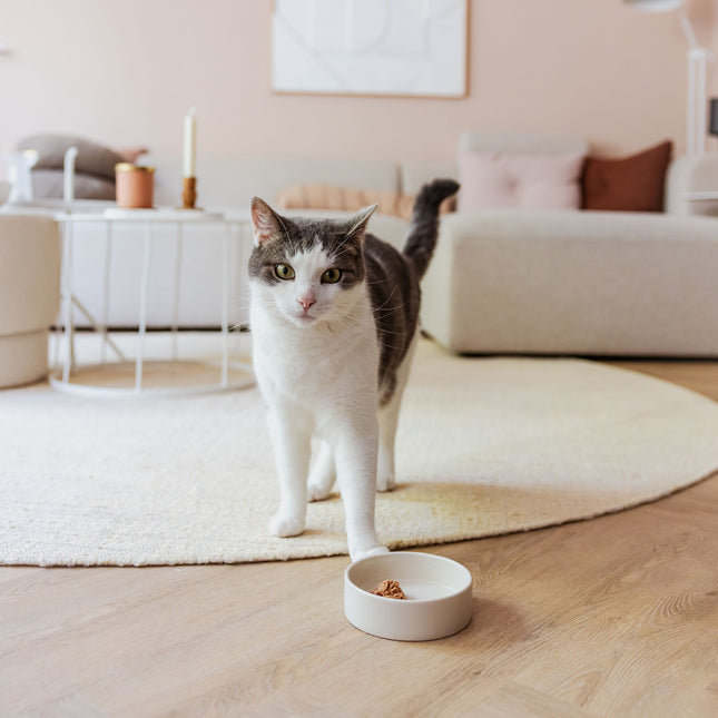 DUSK - Katzenfutternapf aus Keramik
