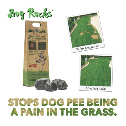 Dog Rocks Natuursteen - 12 x 200g