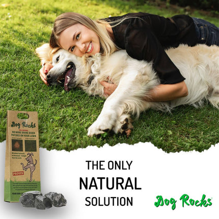Dog Rocks Natuursteen - 12 x 200g