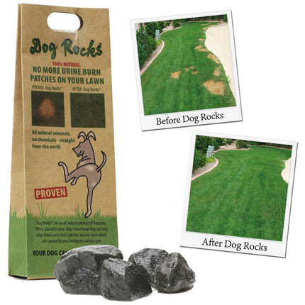 Dog Rocks Natuursteen - 12 x 200g