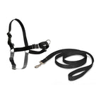 Zwart / Small - 38-51 cm