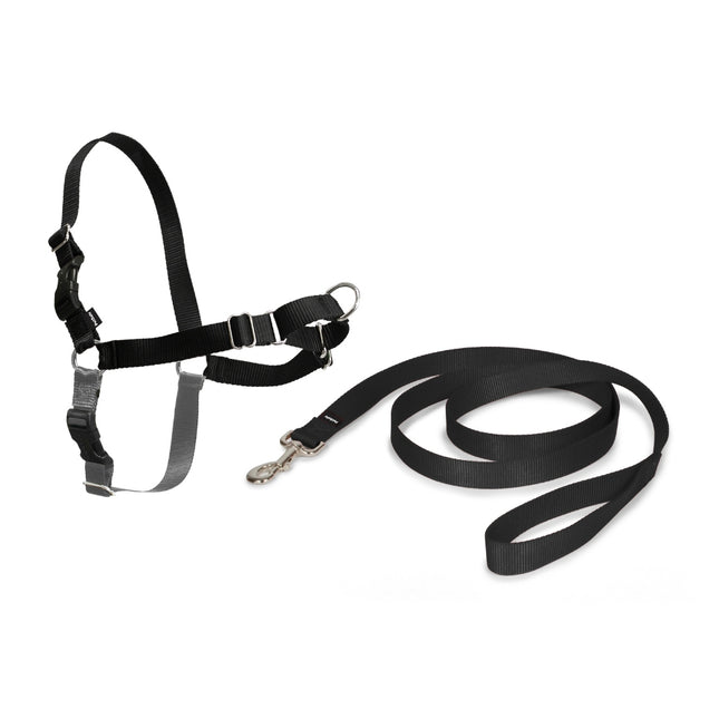 Easy Walk  Harness