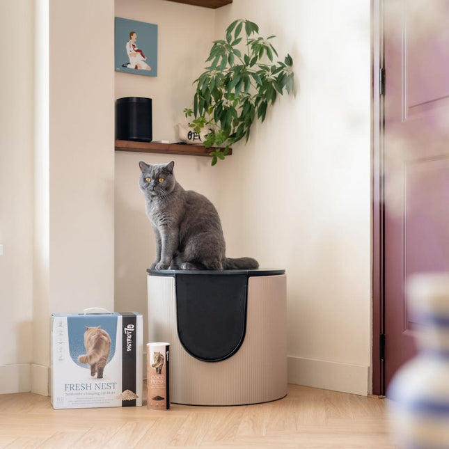 COCO FRESH - Natuurlijke Kattenbak Geurverwijderaar (400 g)