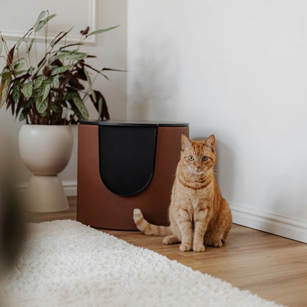 FUSE Design Kattenbak