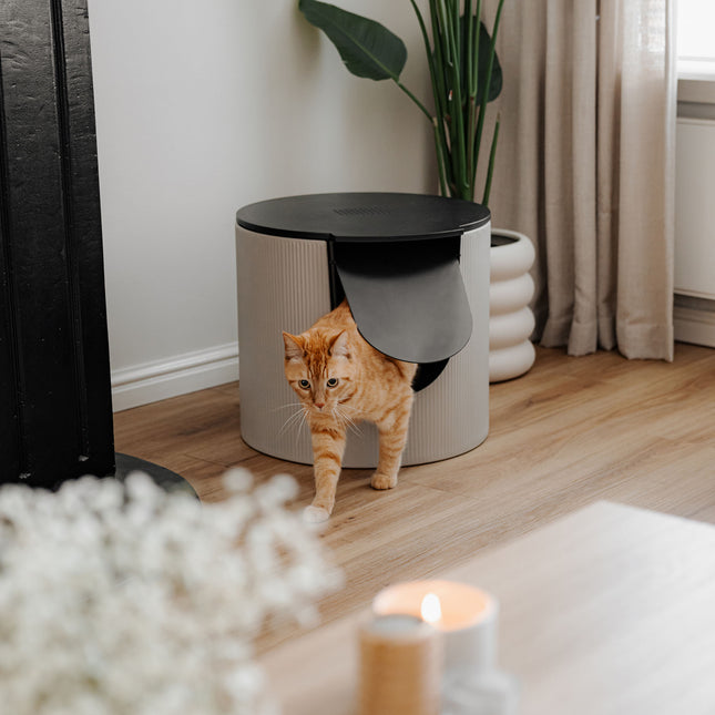 FUSE Design Kattenbak