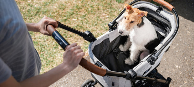 <h4>De voordelen van Pet Strollers</h4>