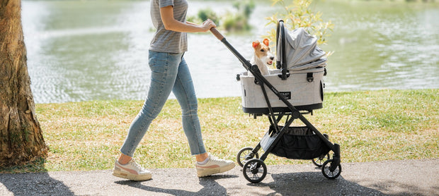 <h4>Situaties waarin een dierenbuggy ideaal is</h4>
