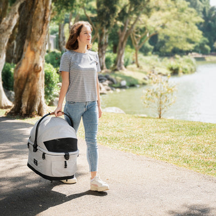 Flytta Plus – Abnehmbarer Haustier Buggy (bis zu 20 kg)