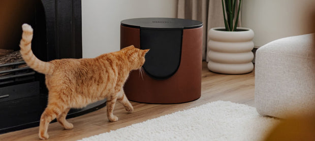 <h4>FUSE: modulaire design kattenbak als compleet retailconcept</h4>