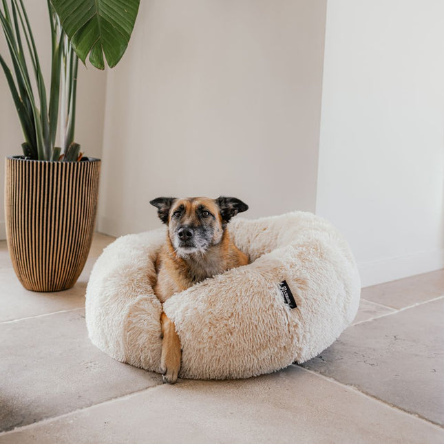 FUZZ Donutbett