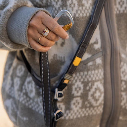 Multi-use Leash