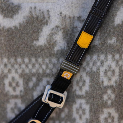 Multi-use Leash