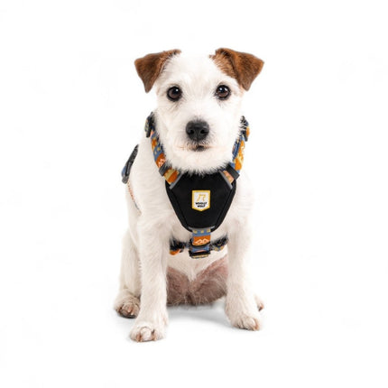 Nightless Night Harness