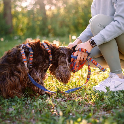 Nightless Night Leash