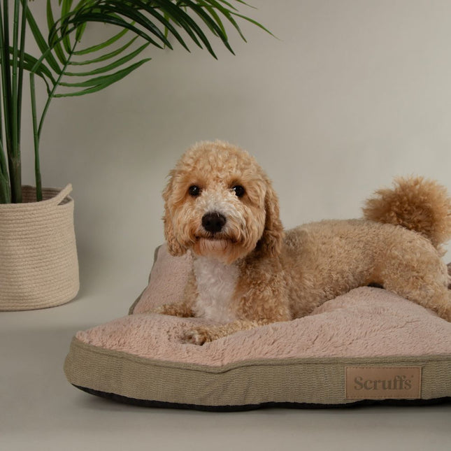 Display - Paloma Mattress - 18 stuks