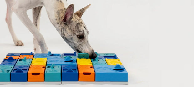 <h3>Puzzels voor honden en katten</h3>