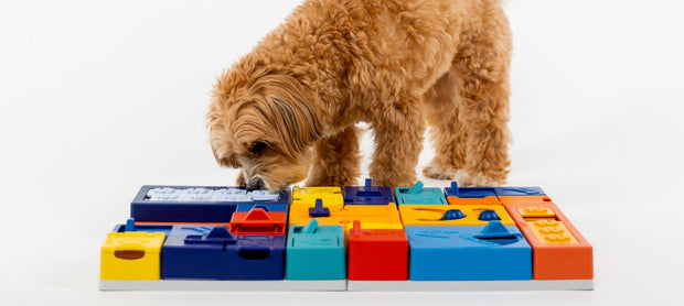 <h3>Boost je assortiment met Pawzler</h3>