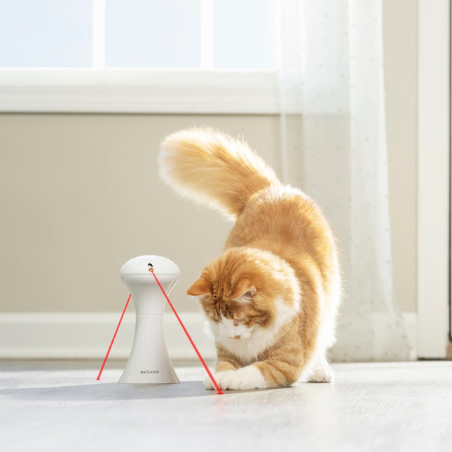 Multi-Laser Toy