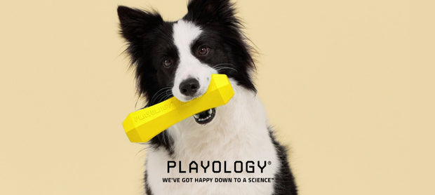 <h3>Innovatie met geurtechnologie</h3>