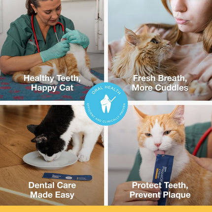 ProDen PlaqueOff® Creme Katze