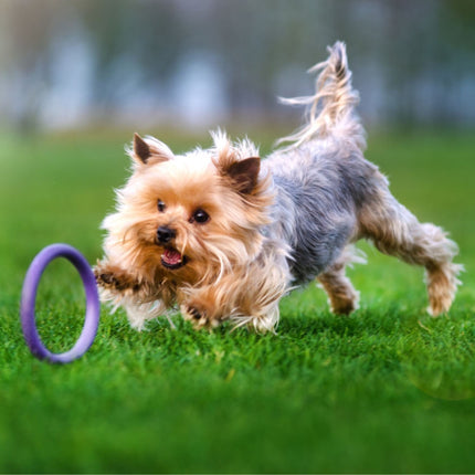 Puller Dog Fitness Tool