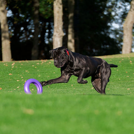 Puller Dog Fitness Tool