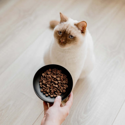 ROYAL Katzenfutternapf aus Edelstahl