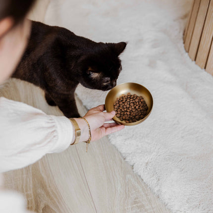 ROYAL Katzenfutternapf aus Edelstahl