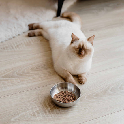 ROYAL Katzenfutternapf aus Edelstahl