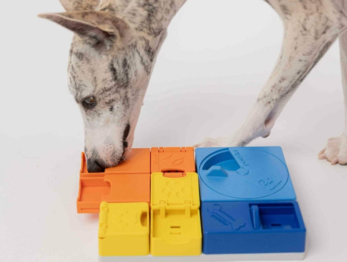 <h2>Samen spelen versterkt de band</h2>