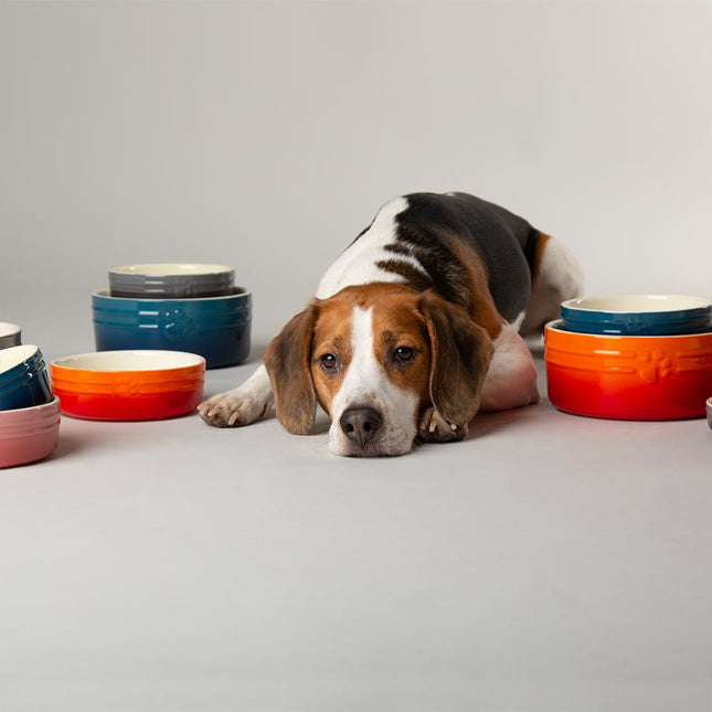 Ombre-Fressnapf für Hunde