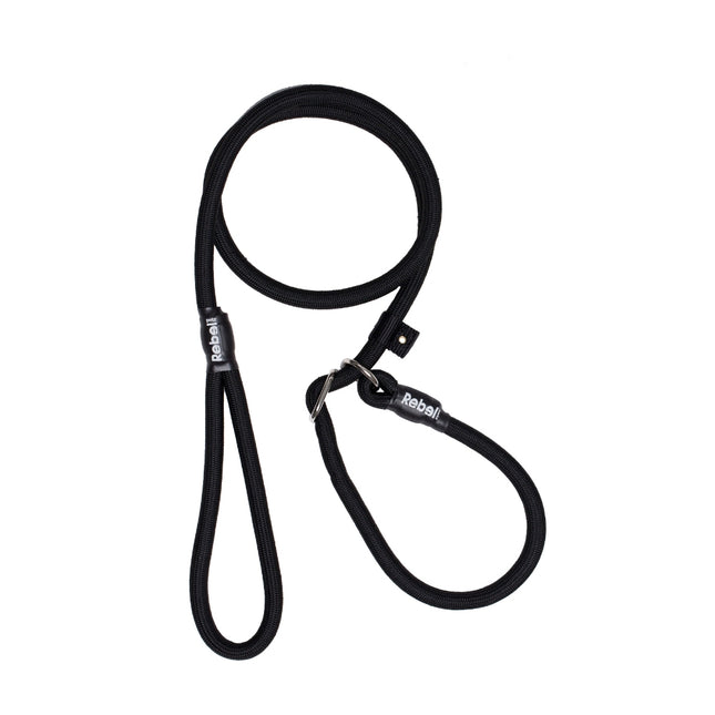 Training Leash