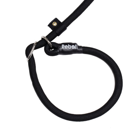 Training Leash