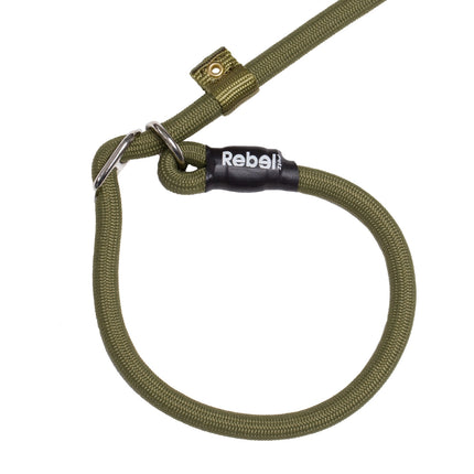 Training Leash