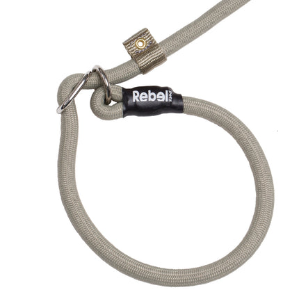Training Leash