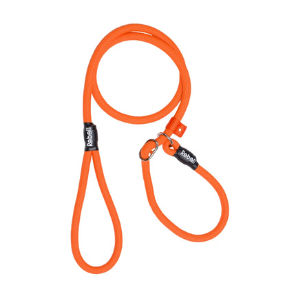 Training Leash