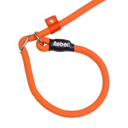 Training Leash