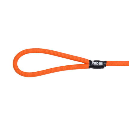 Training Leash