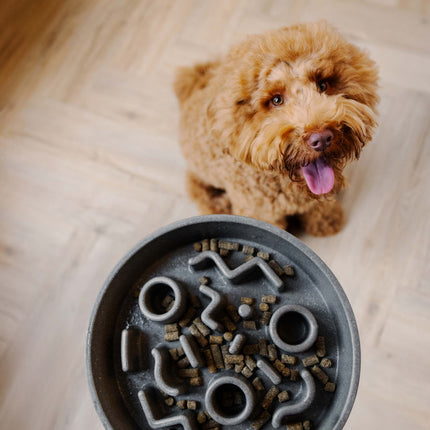 BAMBOO Slow Feeder voor Honden