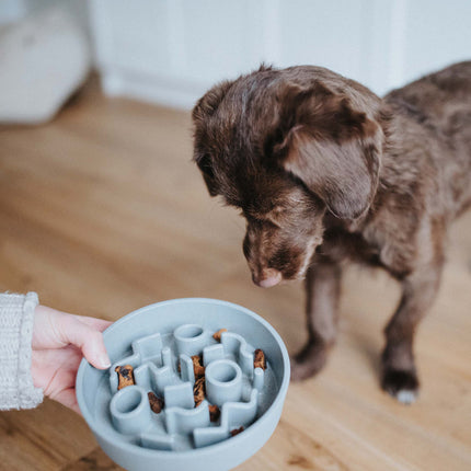 BAMBOO Slow Feeder voor Honden