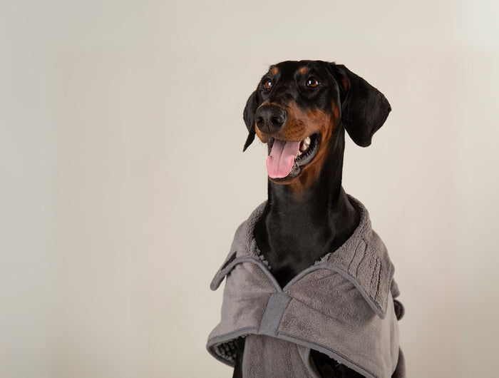 <h3>Scruffs® Noodle Collectie</h3>