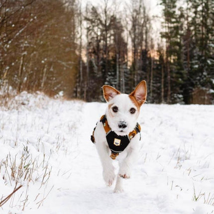 Sea to Summit Harness