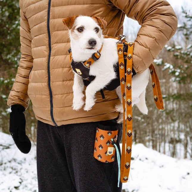 Sea to Summit Leash