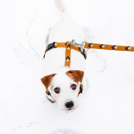 Sea to Summit Leash