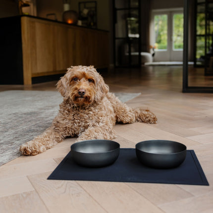 ROYAL Hundefutternapf aus Edelstahl