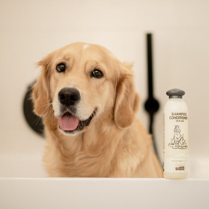 Dog Shampoo & Conditioner